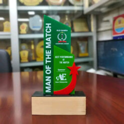 Alternative view of Premium Acrylic Award Crest - A17